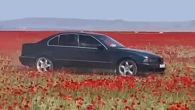 Көкнәр алқабын жайпаған BMW жүргізушісі 103 500 теңге айыппұл төлеуі мүмкін