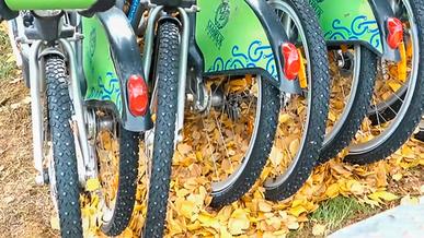 Прокатным велосипедам в Алматы наденут шипованные колёса
