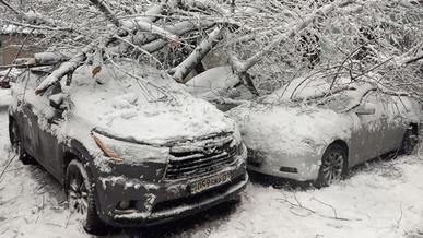Несколько десятков машин в Алматы придавило деревьями и упавшими ветками в снегопад