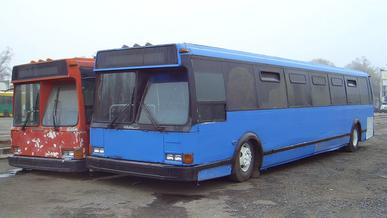 Неизвестные автобусы Алматы: красный, синий и белый в голубую полосочку