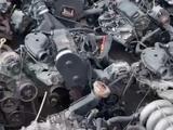 Двигатель Т4 2.4 за 330 000 тг. в Кокшетау – фото 4