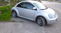 Volkswagen Beetle 1999 года за 2 700 000 тг. в Шымкент – фото 2