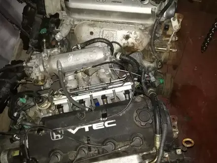 Двигатель и акпп хонда срв одиссей за 300 000 тг. в Алматы – фото 2