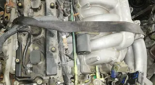 Двигатель VQ35 за 530 000 тг. в Алматы
