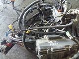 Коса двигателя проводки Honda CR-V 2.4 за 40 000 тг. в Семей