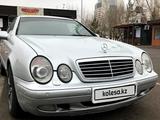 Mercedes-Benz CLK 230 1999 года за 3 300 000 тг. в Нур-Султан (Астана)