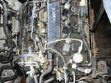 Двигатель A25A-FKS и АКПП U880e на Toyota Camry xv75 за 98 000 тг. в Алматы – фото 2