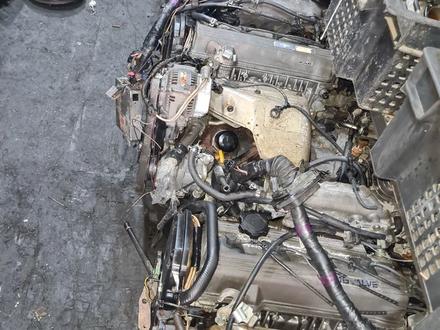 Двигатель Toyota Carina e 2.0 Объём за 350 000 тг. в Алматы – фото 2
