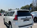 Toyota Land Cruiser Prado 2020 года за 28 000 000 тг. в Алматы – фото 5