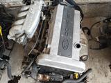 BFD — бензиновый двигатель 1.5л 16 клапан DOHC Kia Shuma за 300 000 тг. в Шымкент