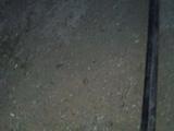 Задний бампер на Ауди 100 сигара селедка за 5 000 тг. в Актобе – фото 2
