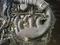 Двигатель Lexus gs300 3gr-fse 3.0л 4gr-fse 2.5л за 71 200 тг. в Алматы